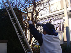 リフォーム施工前写真１０